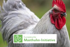 25. Juli – Aktionstag: Hähnchen nach Kriterien der Europäische Masthuhn-Initiative in allen Mensen